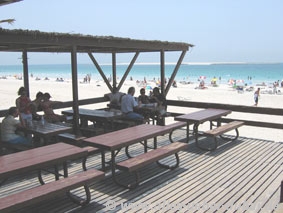 jumeirah.beach.park.019